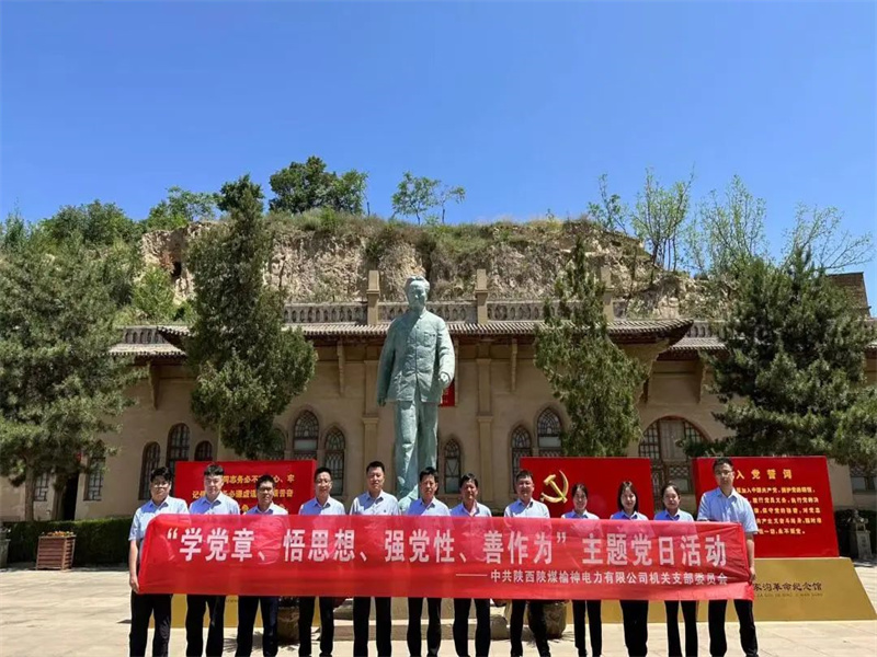 榆神電力公司開展“學黨章、悟思想、強黨性、善作為”主題黨日活動.jpg